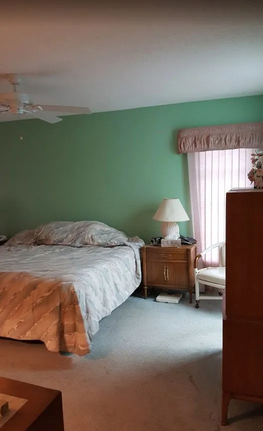 Bedroom with green painted walls, ceiling fan and carpeted floor